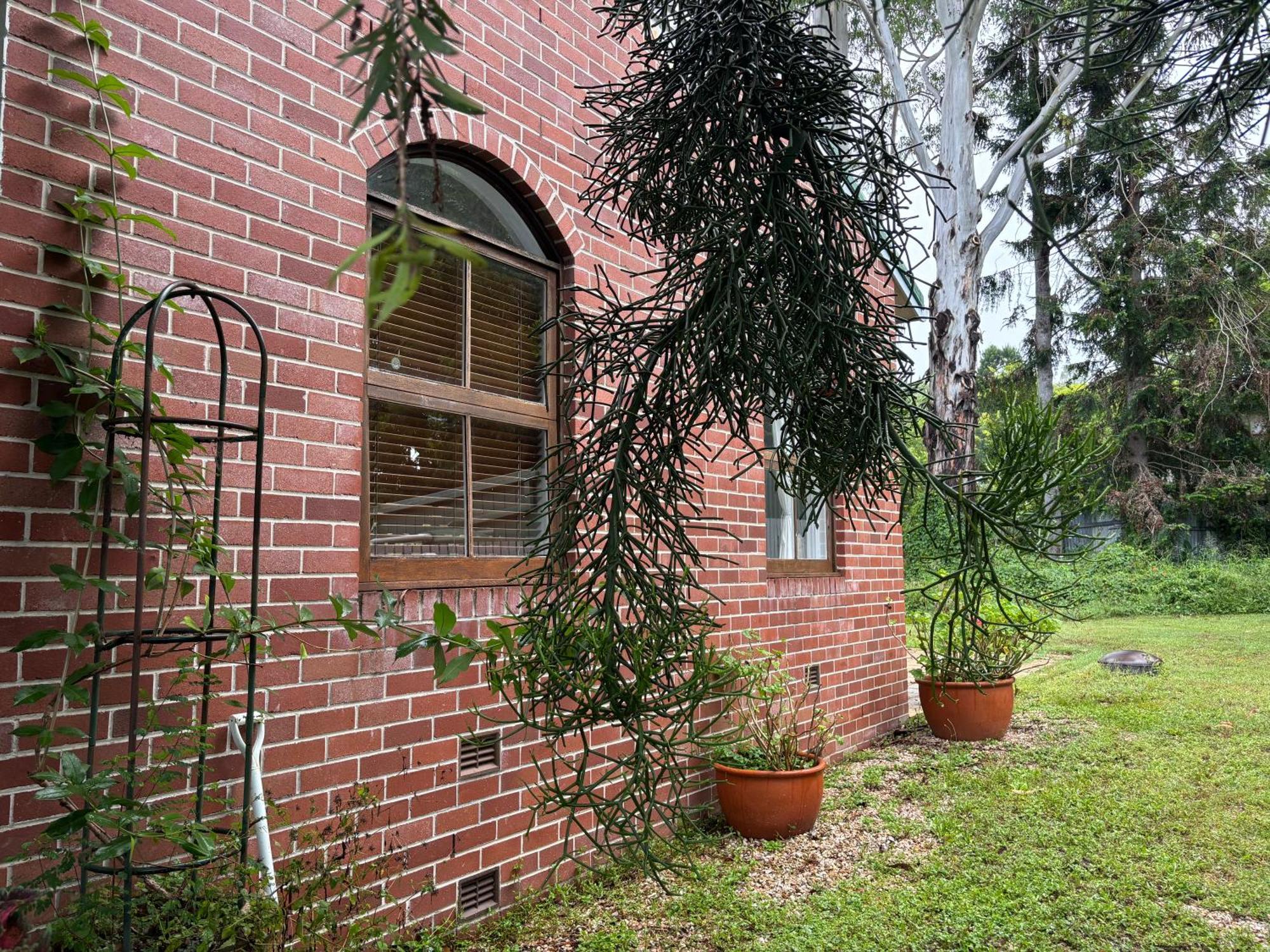 Celestial Dew Guesthouse In Tyalgum Ngoại thất bức ảnh