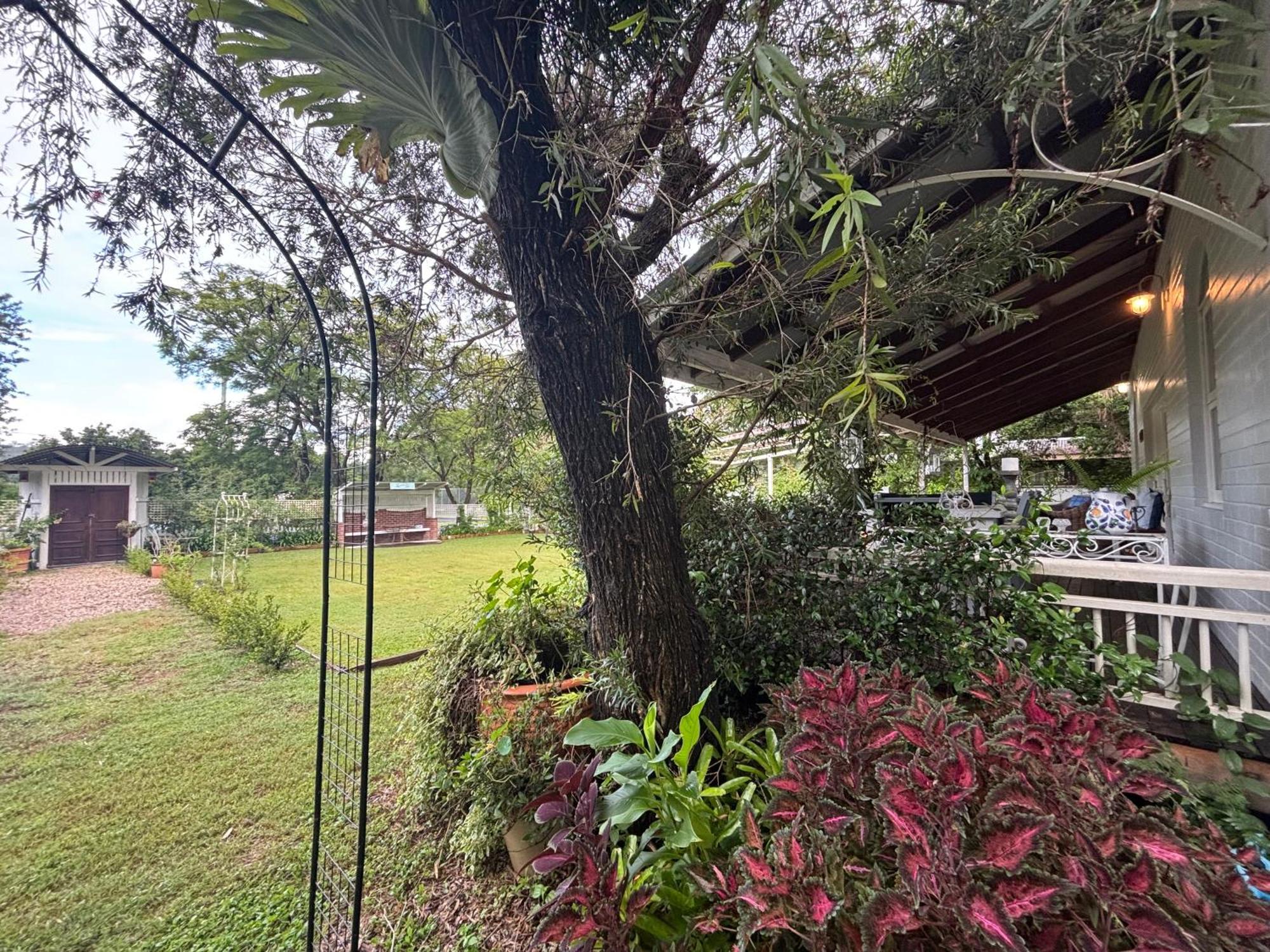 Celestial Dew Guesthouse In Tyalgum Ngoại thất bức ảnh