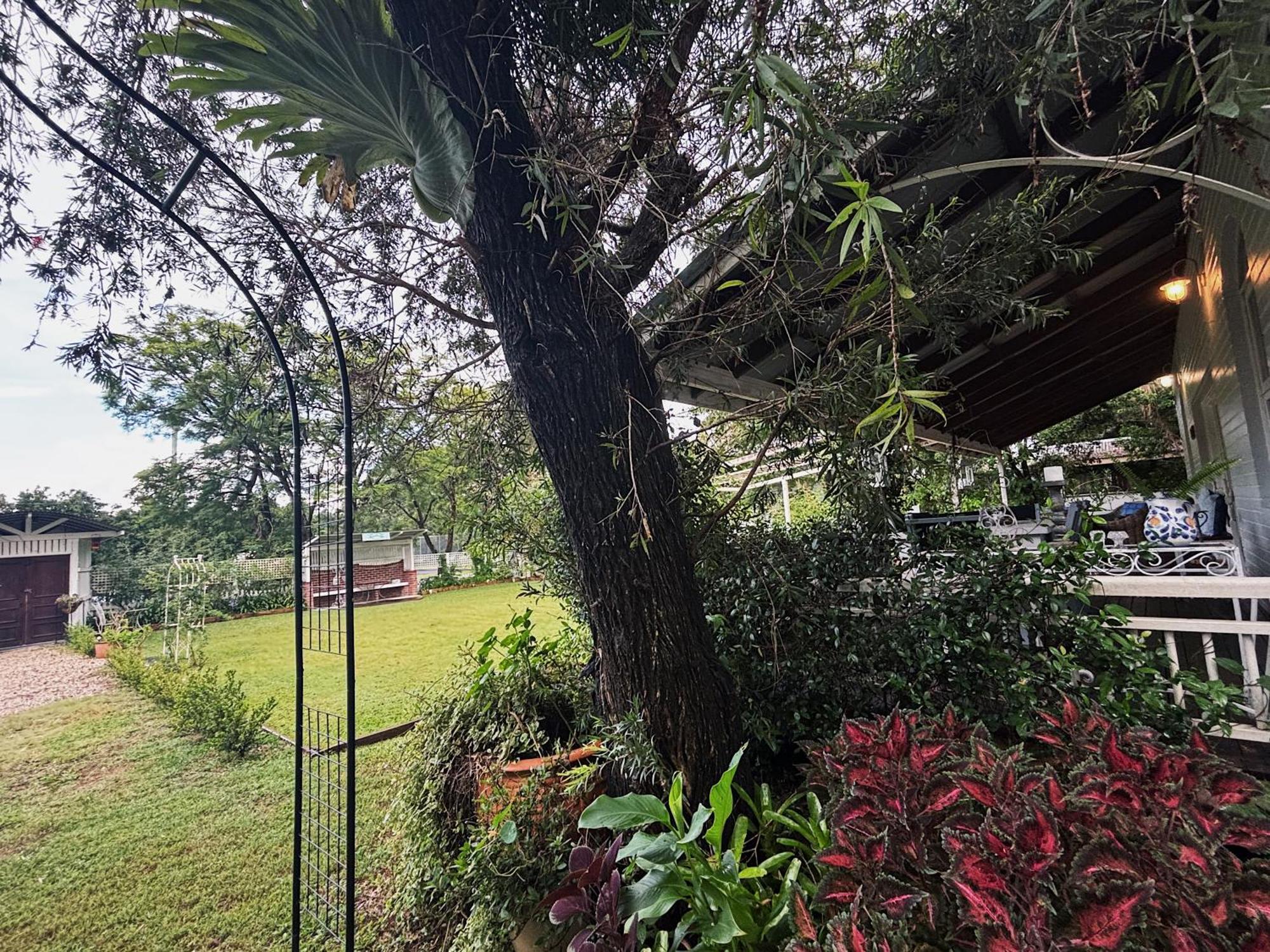 Celestial Dew Guesthouse In Tyalgum Ngoại thất bức ảnh